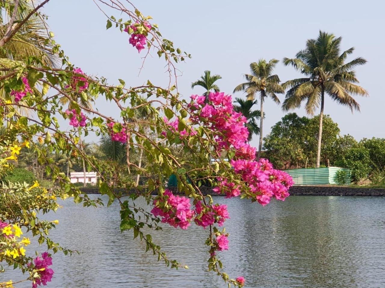 The Lake Paradise Boutique Resort Alappuzha Buitenkant foto
